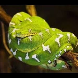 Meet your Posher, Jay